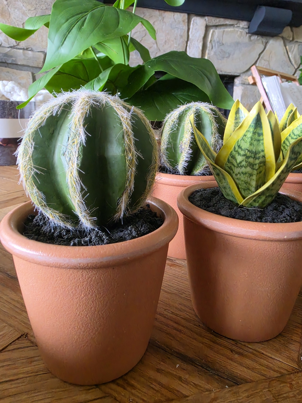 Decorative Potted Faux Succulents - Green & Yellow